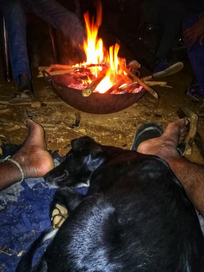 Eco Lodge Haputale-Camping Sri Lanka Zewnętrze zdjęcie